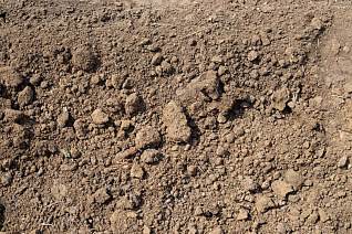 Пескогрунт